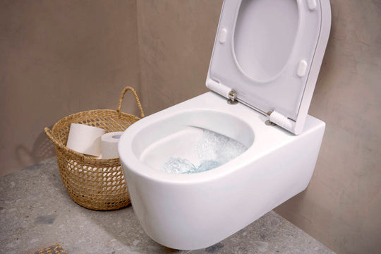 HANSGROHE EluPura S Wall hung WC AquaFall Flush  60193450
