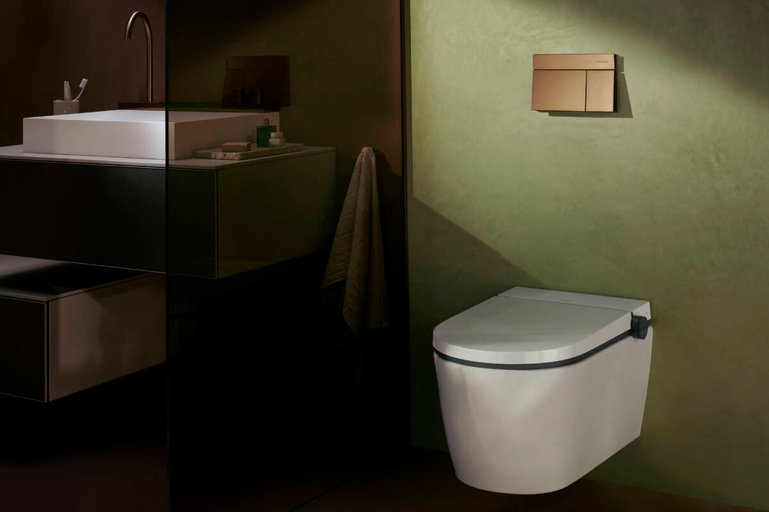 HANSGROHE iFrame Element E Flush plate for dual flush
