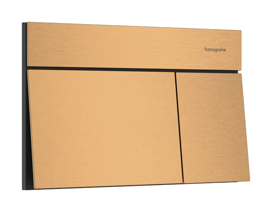 HANSGROHE iFrame Element E Flush plate for dual flush