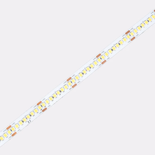 COLORS® STRIP LED 10MM PCB- 20W/M.3000K. 240 LEDS/ML 3000lum.CRI90.DC24V/ IP20- RL 5ML .
