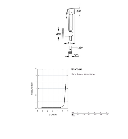 GROHE® TEMPESTA-F WALL HOLDER SET 1 SPRAY 1025302431