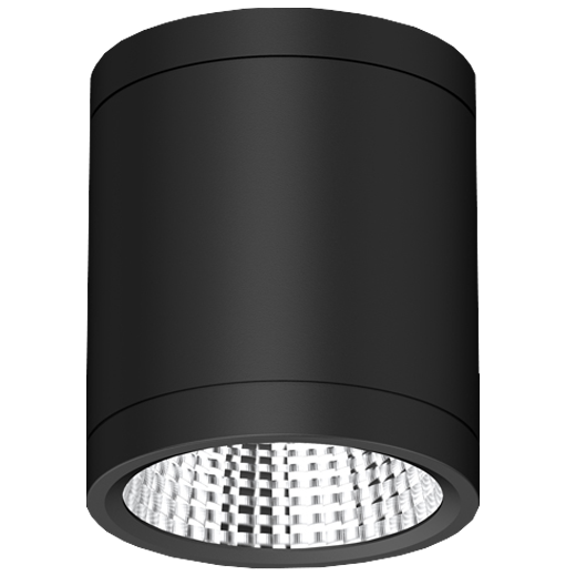NEKO SKYSURFER - 10W SKYSURFER Ceiling Light SSRC-9303610F-BN